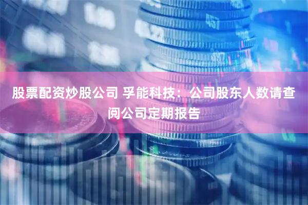 股票配资炒股公司 孚能科技：公司股东人数请查阅公司定期报告