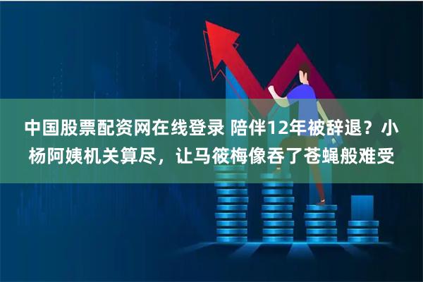 中国股票配资网在线登录 陪伴12年被辞退？小杨阿姨机关算尽，让马筱梅像吞了苍蝇般难受
